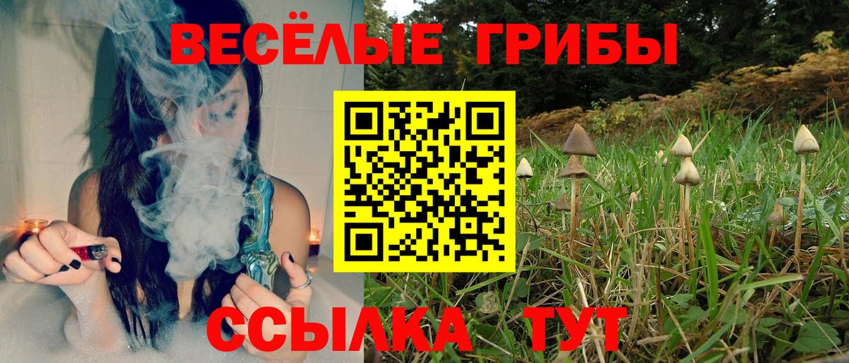 Галлюциногенные грибы GOLDEN TEACHER Владикавказ