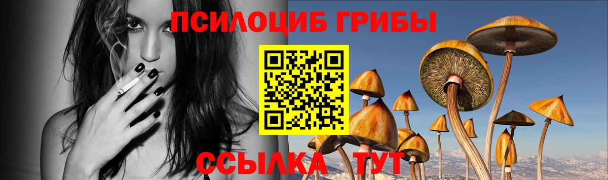 Галлюциногенные грибы мицелий  Вход с VPN  Владикавказ 